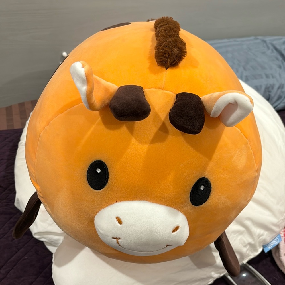 Fiesta pillow